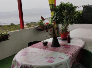 a table with potted plants on top of a balcony at Apartment Dario Šolta in Grohote