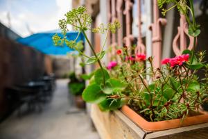 Fotografie z fotogalerie ubytování Mia Casa Hotel Yerevan v Jerevanu