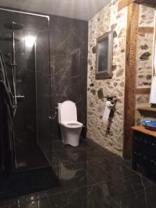 un bagno con wc e doccia in vetro di La petite Salamandre bleue a La Croisille-sur-Briance