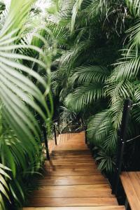 Φωτογραφία από το άλμπουμ του Mint Santa Teresa - Adults only σε Santa Teresa Beach