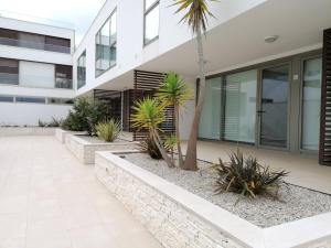 un cortile di una casa con palme di Silver Coast Heights H ad Areia Branca