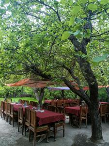 Zahrada ubytování Hotel Samyas + 20 fotografií
