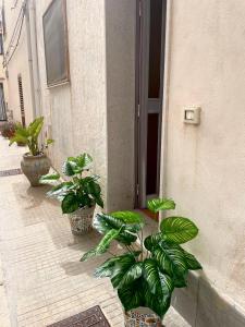 a group of plants sitting outside of a building at Il Cortile in San Vito lo Capo