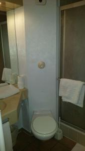 a bathroom with a toilet and a sink and a mirror at Brit Hotel Sarreguemines in Sarreguemines