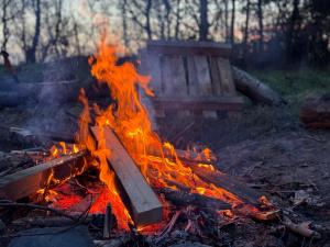 't HorntjeKleine Tipi Texel的相册照片