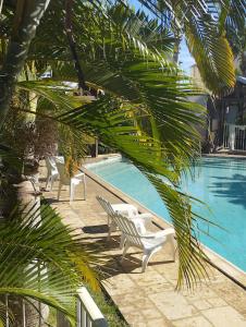 una piscina con 2 sillas blancas y una palmera en Ty Kaz Dodo, en Saint-Gilles-les-Bains