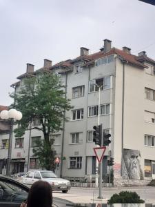 a building with a lion painted on the side of it at Parovic in Nevesinje