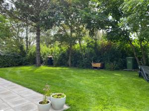 Un patio con un parque con un banco y césped verde. en Previnaireweg 30, en Callantsoog