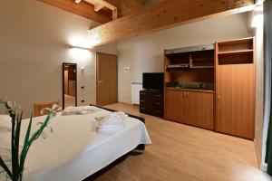 a large room with a bed and a television at Baita Solaria in Sarnano