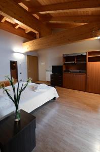 Kuchyň nebo kuchyňský kout v ubytování Baita Solaria + 43 fotografií