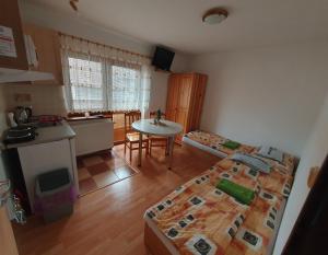 Kuchyň nebo kuchyňský kout v ubytování Apartmany Danka