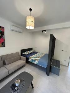ティヴァトにあるLuxury apartments A&Nのベッドとソファのあるリビングルーム