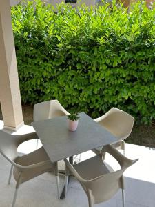 ティヴァトにあるLuxury apartments A&Nの鉢植えのテーブルと椅子