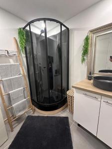 a bathroom with a shower with a large mirror at Appartement Cosy Loft in Salernes +34 photos