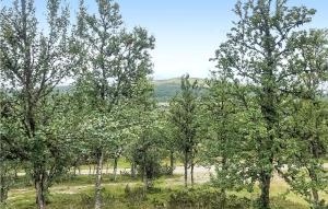 Venabygdにある3 Bedroom Nice Home In Venabygdの畑の中の木々 +17枚の写真