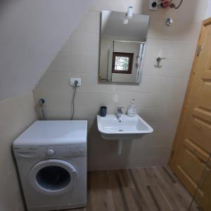 a small bathroom with a washing machine and a sink at Zelenova koliba in Žabljak