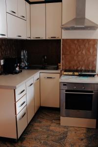 Η κουζίνα ή μικρή κουζίνα στο Halluni Apartment +10 φωτογραφίες