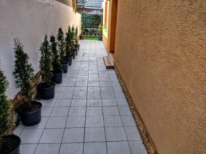 Fotografie z fotogalerie ubytování Apartmán Sofia Centrum v destinaci Michalovce