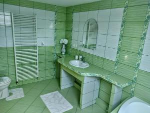 Koupelna v ubytování Apartmán Sofia Centrum