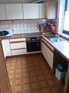 eine kleine Küche mit Spüle und Geschirrspüler in der Unterkunft Ferienwohnung Aspisheim in Aspisheim