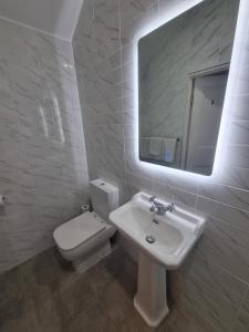 Un baño de The Monkey Puzzle