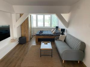 Posezení v ubytování Černý Tulipán - apartmán 6