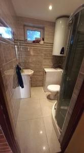 een badkamer met toilet en wastafel bij Dom Letniskowy in Wielen Zaobrzanski +4 foto's