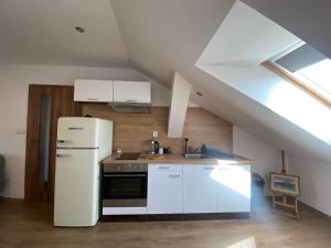 Kuchyň nebo kuchyňský kout v ubytování Černý Tulipán - apartmán 6