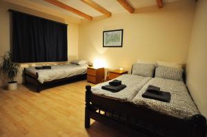 a bedroom with two beds and a window at Jungfrau Views Apartment in Interlaken