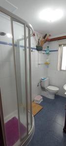 a bathroom with a shower and a toilet at EnVIVEIRO Destino Playa de Covas in Viveiro +19 photos