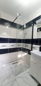 a bathroom with a glass shower and a sink at Casa Eduard in Eforie Sud +21 photos