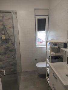 a bathroom with a toilet and a glass shower at Apartman Zlata in Pakoštane +9 photos