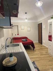 una cucina con un lavandino e un letto in una stanza di La casa di Marge a Sanremo Altre 3 foto