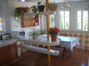 セネス・デ・ラ・ベガにあるCasa Ghaliaのキッチン(鉢植えの植物が並ぶテーブル付)
