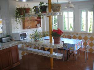 a kitchen with a table with potted plants on it at Casa Ghalia in Cenes de la Vega