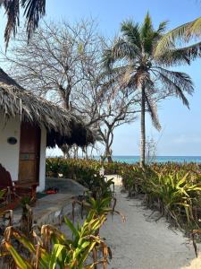 Isla del PirataにあるHotel Isla Del Pirataのヤシの木のある海辺の家