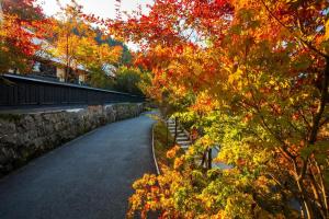 a road with autumn leaves and a stone wall at Miyama Sansou in Minamioguni