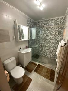 un baño con inodoro y ducha en Transilvania rent, en Hunedoara