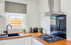 a kitchen with a stove top oven next to a sink at Stunning Home In Heinkenszand With Wifi in Heinkensand