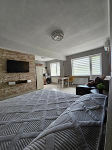 een woonkamer met een groot bed en een open haard bij Квартира-студия рядом с Набережной in Balqash