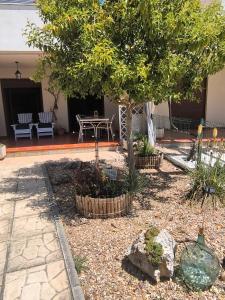 a garden with a tree and a table and chairs at Casa Alfredo in Villamarciel