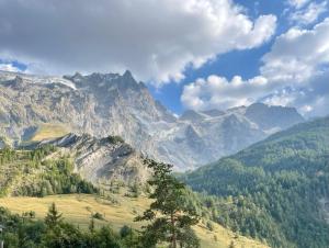 a view of a mountain range with trees in the foreground at Soul La Meije - Simple, Original in La Grave