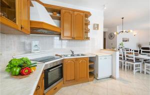 Kuchyňa alebo kuchynka v ubytovaní Holiday Home Orihi Bb Croatia