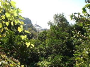 Foto dalla galleria di Sarpi a Sarpi