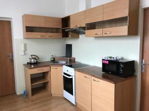 Kuchyň nebo kuchyňský kout v ubytování Apartmán VAJB