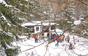 Ferienhaus 1 Wolfschlucht im Winter