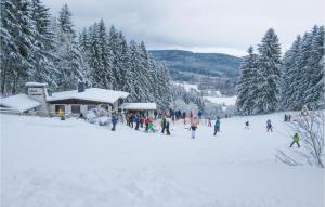 Ferienhaus 1 Wolfschlucht im Winter