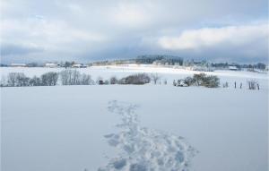 Ferienhaus 1 Wolfschlucht im Winter