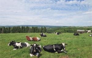 Tiere im Ferienhaus oder in der Nähe