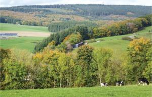 Naturlandschaft in der Nähe des Ferienhauses